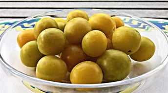 沃柑采摘后果樹(shù)怎么管理（沃柑結(jié)果樹(shù)后期管理）