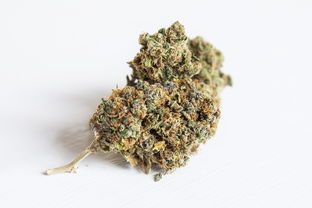 沃柑種植過程農(nóng)藥多嗎（沃柑種植技術 091）