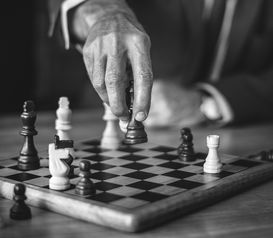 柑桔選什么作砧木？關鍵要點與實用品種選擇指南