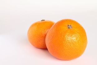 探秘中國南方默科特柑橘產(chǎn)地的獨(dú)特生態(tài)優(yōu)勢