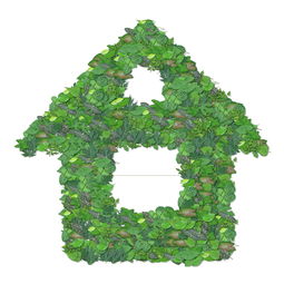 廣西河池柑橘品種的生態(tài)優(yōu)勢(shì)與特色品種解析