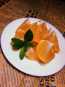 優(yōu)質(zhì)高產(chǎn)新品種柑橘樹苗廠家直供，現(xiàn)挖現(xiàn)發(fā)支持批發(fā)！
